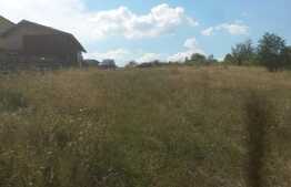 Teren extravilan 1054 mp, front de 23 ml, zona linistita