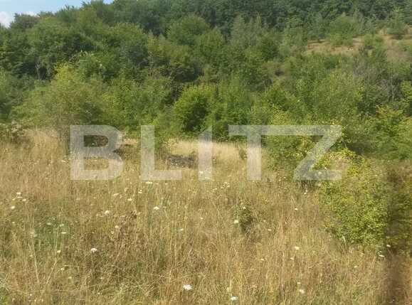 Teren de vânzare Exterior Sud - 28251TV | BLITZ Cluj-Napoca | Poza1