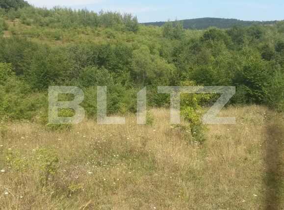 Teren de vânzare Exterior Sud - 28251TV | BLITZ Cluj-Napoca | Poza2