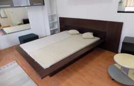 Garsoniera, decomandata, imobil tip casa, gradina, parcare, zona UMF