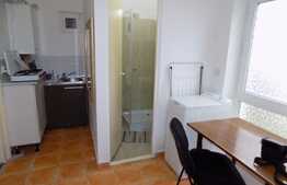 Garsoniera, decomandata, imobil tip casa, gradina, parcare, zona UMF