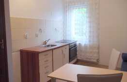 Apartament 2 camere, 40 mp, mobilat modern, zona strazii Clinicilor