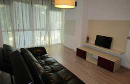 Apartament 1 camera, 48 mp, decomandat,  zona strazii Brancusi