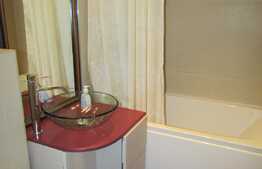 Apartament 1 camera, 48 mp, decomandat,  zona strazii Brancusi