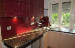 Apartament 1 camera, 48 mp, decomandat,  zona strazii Brancusi