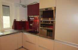 Apartament 1 camera, 48 mp, decomandat,  zona strazii Brancusi