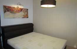 Apartament 1 camera, 48 mp, decomandat,  zona strazii Brancusi