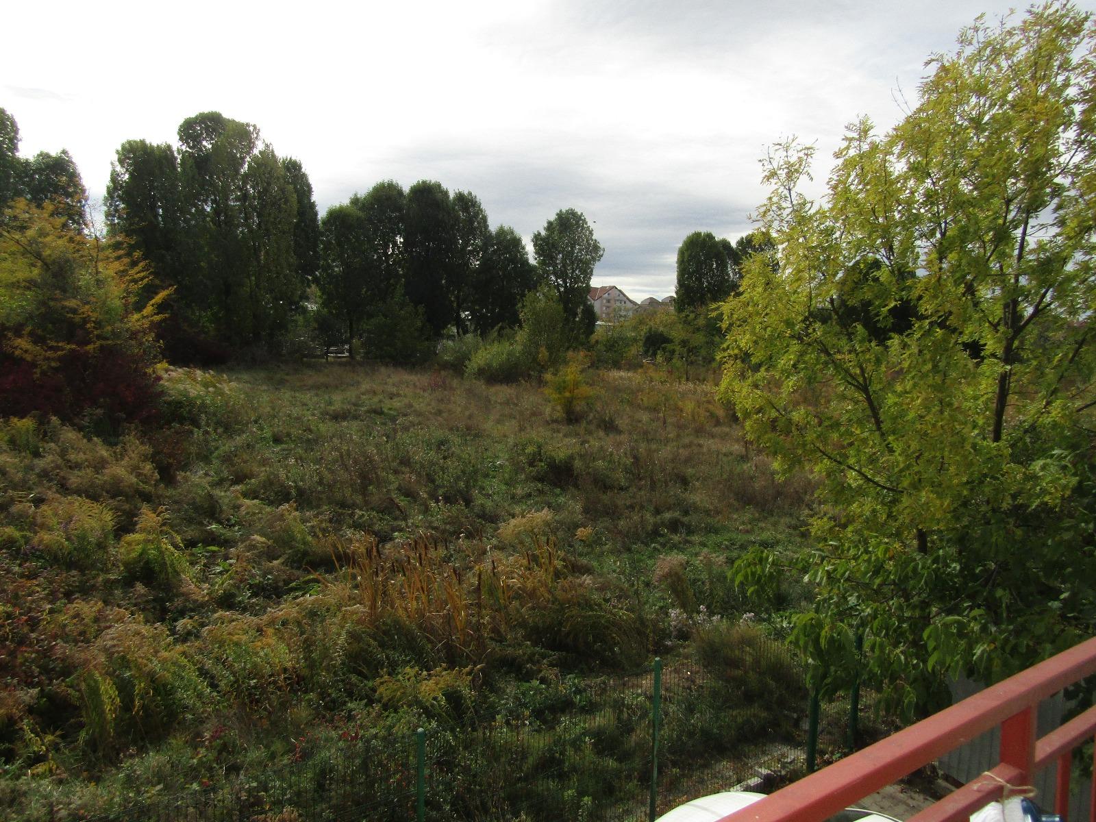 Apartament de închiriat 2 camere Zorilor - 28303AI | BLITZ Cluj-Napoca | Poza8