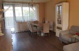 Duplex de vanzare, 116 mp, teren de 150 mp! Garaj! Zona Terra!