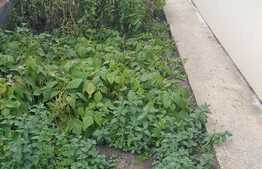 Duplex de vanzare, 116 mp, teren de 150 mp! Garaj! Zona Terra!