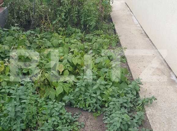 Casa de vânzare 4 camere Floreşti - 28325CV | BLITZ Cluj-Napoca | Poza13