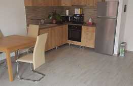 2 camere, 67 mp, prima inchiriere, terasa, garaj, zona Calea Dorobantilor