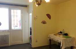 Garsoniera 32 mp, boxa subsol, zona strazii Constantin Brancusi