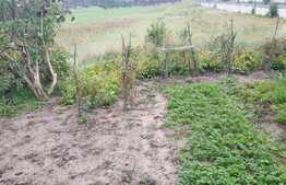 Casa individuala de vanzare, 60 mp utili, teren de 2173 mp, zona nou dezvoltata