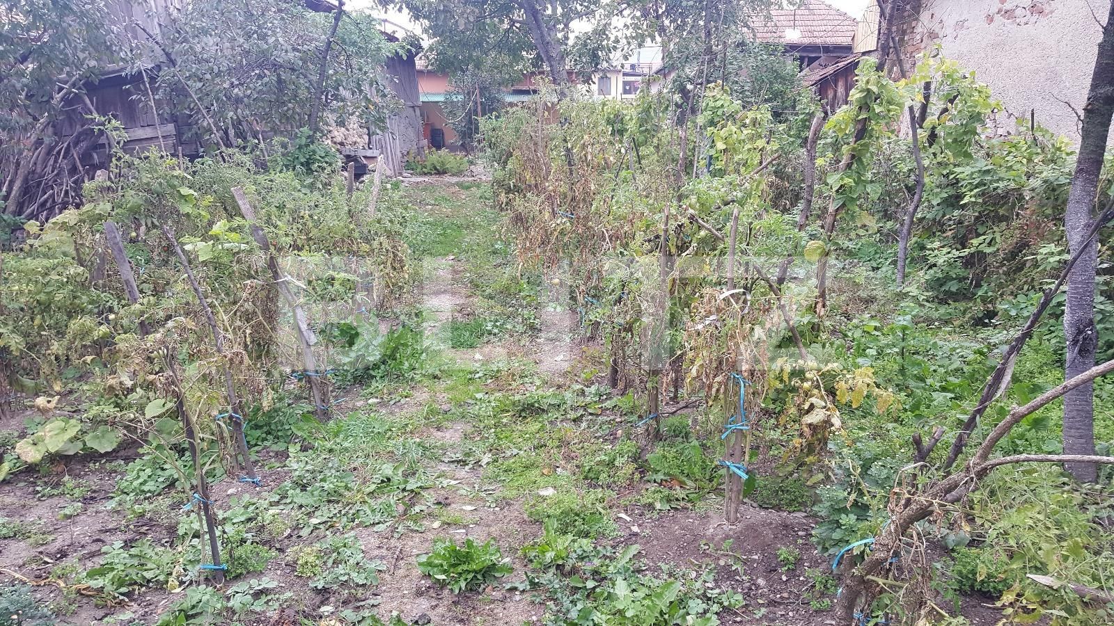 Casa de vânzare 2 camere Floreşti - 28341CV | BLITZ Cluj-Napoca | Poza5