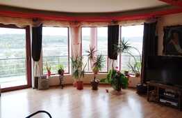 Casa aproape de natura la 10 minute de centru! 270 mp utili, teren de 700 mp.