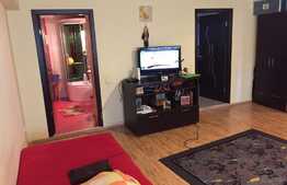 Apartament cu 1 camera, 48 mp, decomandat, zona strazii Campului