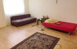 Apartament cu 1 camera, 48 mp, decomandat, zona strazii Campului