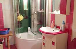 Apartament cu 1 camera, 48 mp, decomandat, zona strazii Campului