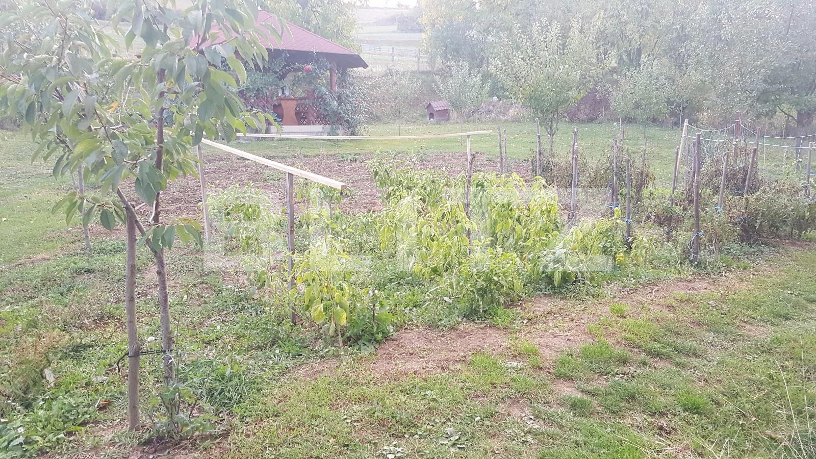 Casa de vânzare 5 camere Exterior Vest - 28361CV | BLITZ Cluj-Napoca | Poza5