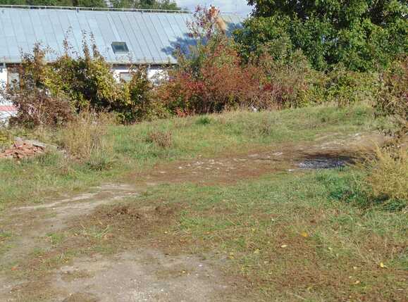 Casa de vânzare 1 camera Bună Ziua - 28362CV | BLITZ Cluj-Napoca | Poza9