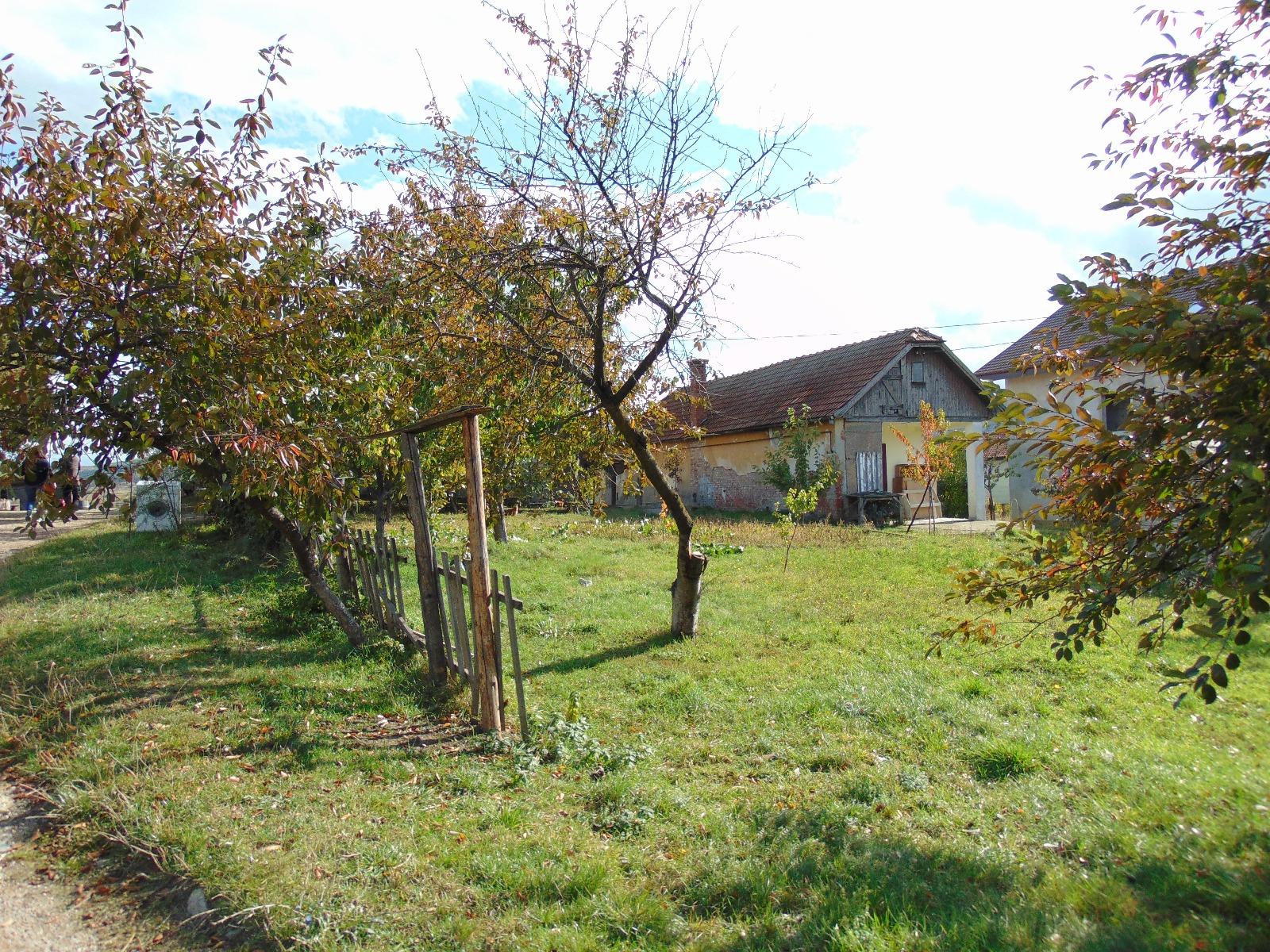 Casa de vânzare 1 camera Bună Ziua - 28362CV | BLITZ Cluj-Napoca | Poza8