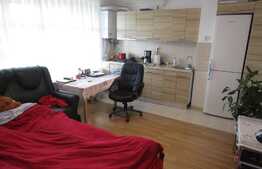 Apartament 2 camere, 42 mp, decomandat, terasa de 12,5 mp, zona Calea Baciului