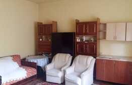 Apartament 1 camera, cu tavan inalt, 50 mp, boxa la subsol, zona strazii Horea