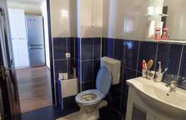 Apartament  2 camere 43 mp, LA CHEIE! Loc de parcare! Zona strazii Tineretului!