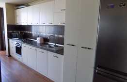 Apartament  2 camere 43 mp, LA CHEIE! Loc de parcare! Zona strazii Tineretului!