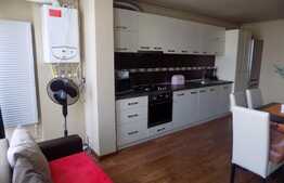 Apartament  2 camere 43 mp, LA CHEIE! Loc de parcare! Zona strazii Tineretului!