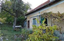 Casa individuala demolabila, 134 mp, 1469 mp de teren, 16 ml, zona Piata Engels