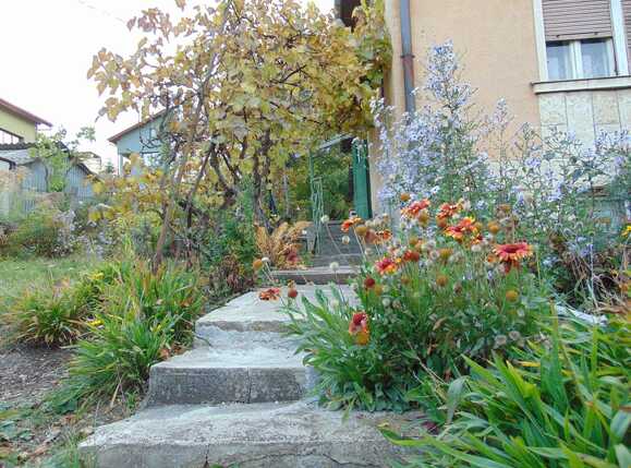 Casa de vânzare 1 camera Andrei Mureşanu - 28378CV | BLITZ Cluj-Napoca | Poza8