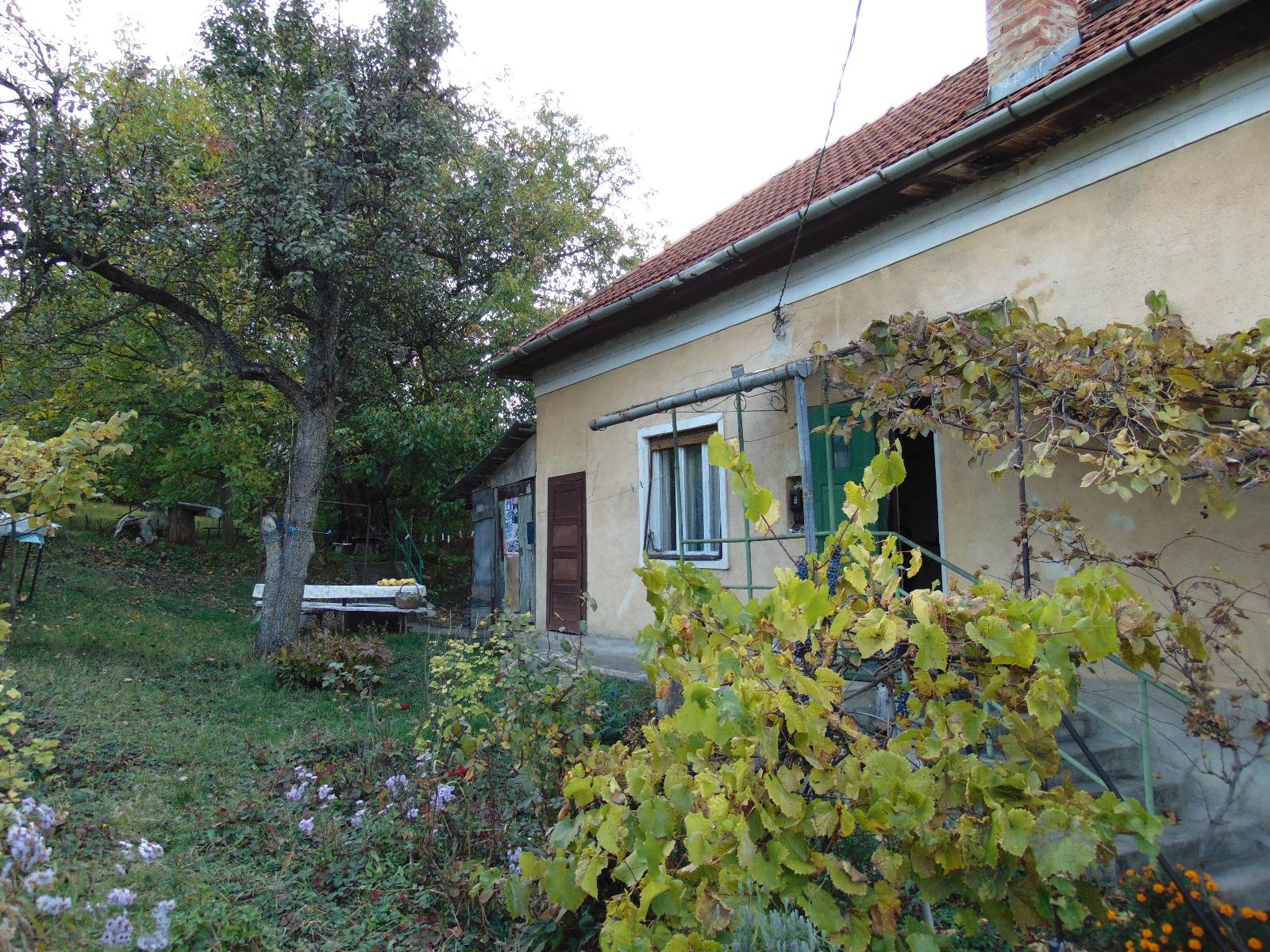 Casa de vânzare 1 camera Andrei Mureşanu - 28378CV | BLITZ Cluj-Napoca | Poza10