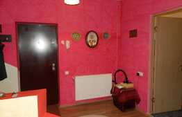 Apartament cu 2 camere, 40 mp, mobilat si utilat! Zona strazii Stejarului!