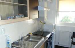 Garsoniera moderna, 42 mp, zona USAMV