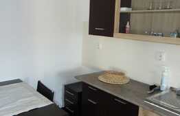 Garsoniera moderna, 42 mp, zona USAMV