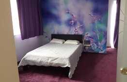 Apartament de 2 camere, 62 mp, mobilat modern, zona Nicoale Titulescu