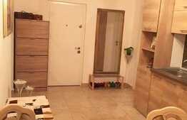 Apartament atent amenajat. Zona Parcul Babes