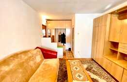 Garsoniera, 28 mp, pet friendly, zona strazii Dunarii