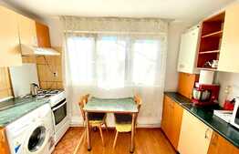 Garsoniera, 28 mp, pet friendly, zona strazii Dunarii