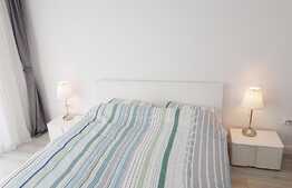 Apartament 2 camere, 45 mp, prima inchiriere, imobil nou, TOTUL NOU, zona USAMV