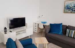 Apartament 2 camere, 45 mp, prima inchiriere, imobil nou, TOTUL NOU, zona USAMV