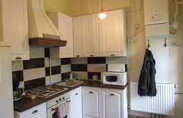 Apartament la casa, 42 mp, terasa de 10 mp, zona Piata Cipariu 