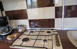 Apartament la casa, 42 mp, terasa de 10 mp, zona Piata Cipariu 