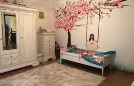 Casa pe masura asteptarilor tale!162,5 mp! Zona strazii Corneliu Coposu