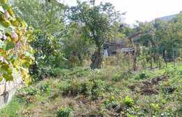 Casa demolabila 120 mp, teren 694, zona Hasdeu