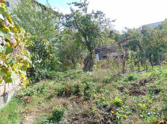 Casa de vânzare 1 camera Zorilor - 28424CV | BLITZ Cluj-Napoca | Poza4