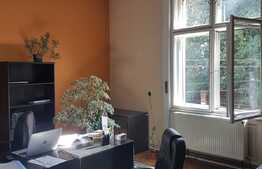 Imobil in zona centrala, 600 mp, zona Casa de Cultura