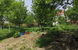 Casa de vanzare de 100 mp, teren 403  mp, 11 ml front, zona linistita!